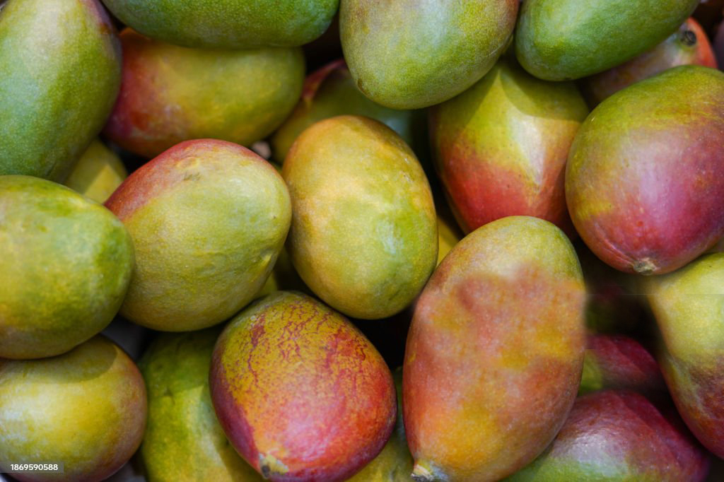 Pruning Techniques mangoes