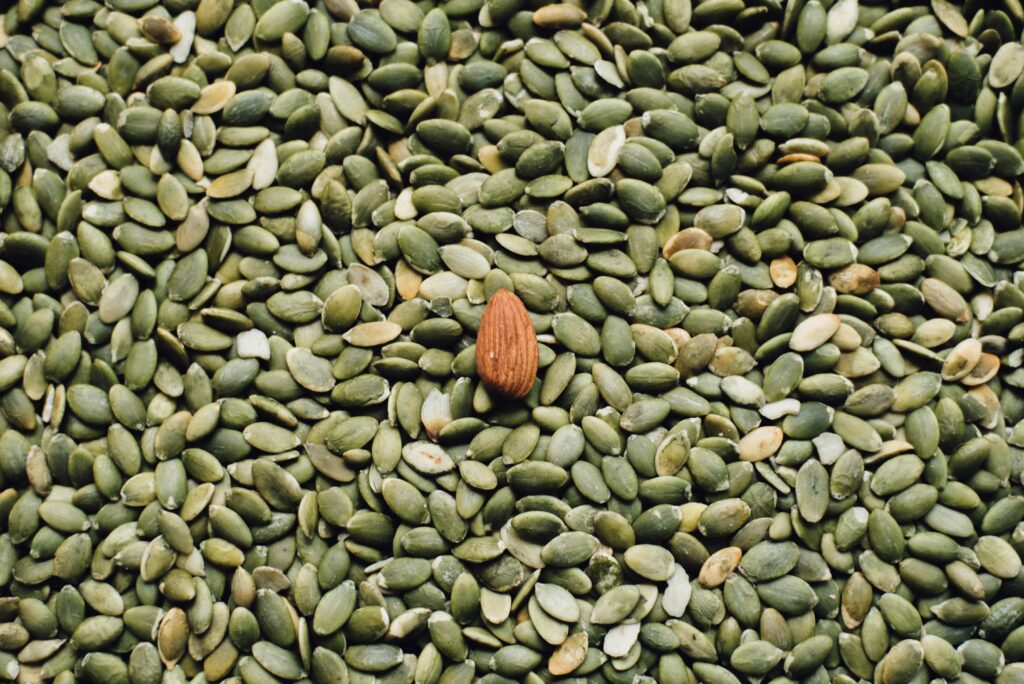 Pumpkin seeds is good for health